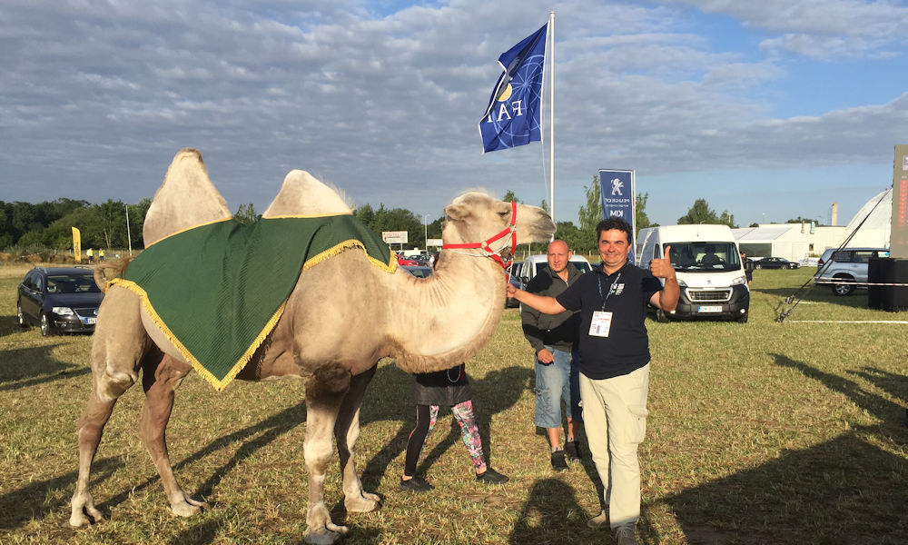 Camel Camel