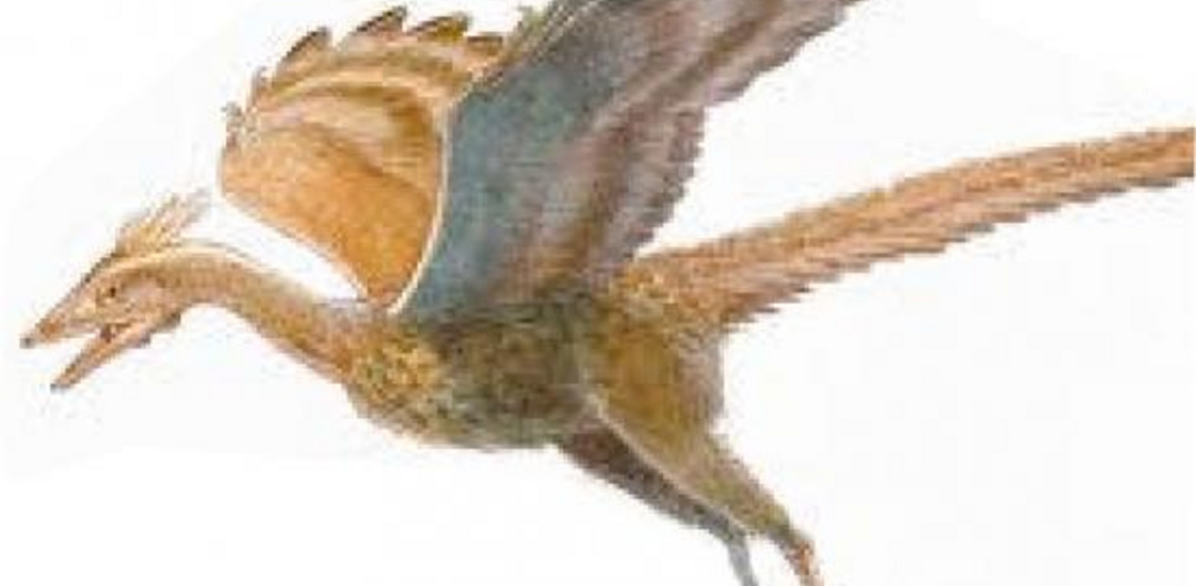 TITLEDEBUG ALTDEBUG