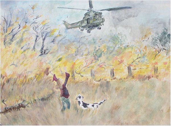 Aviation Search and Rescue 1988